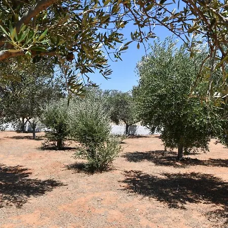 Anna * Naousa (Paros)